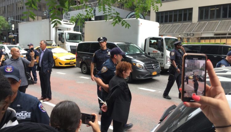 Nan Goldin arrested
