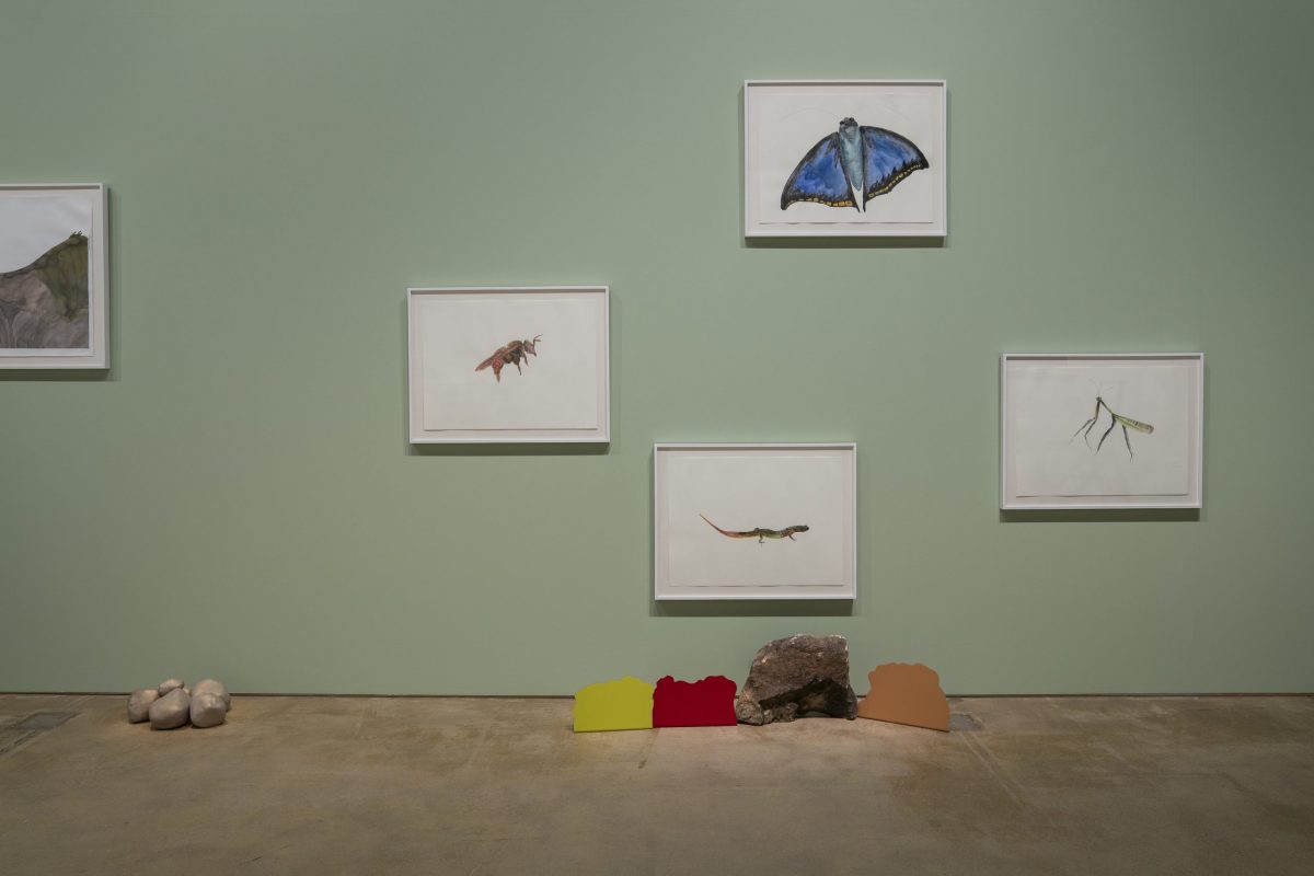 Maria Thereza Alves: Council of Being series, 2022-2023, detail. Helsinki Biennial 8.6.–21.9.2025, HAM Helsinki Art Museum. Courtesy of Martins & Montero, Sao Paolo, Brusses. Photo: HAM / Helsinki Biennial / Sonja Hyytiäinen