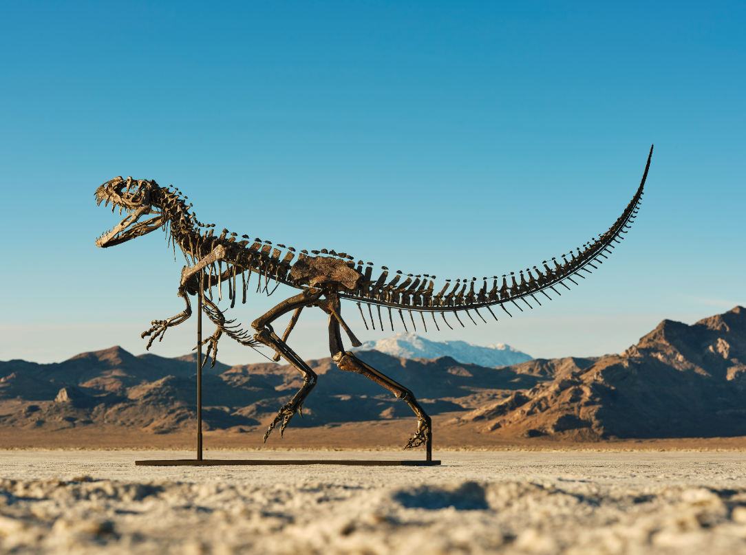 ceratosaur