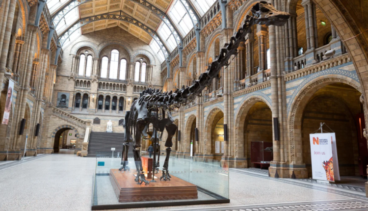 natural history museum